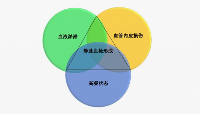 沉默殺手 VTE，如何進(jìn)行抗凝治療？三問搞懂