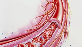 《醫(yī)院內(nèi)靜脈血栓栓塞癥防治質(zhì)量評價與管理指南（2022版）》節(jié)選之----醫(yī)院內(nèi)VTE防治的重點(diǎn)人群和關(guān)鍵動態(tài)時點(diǎn)