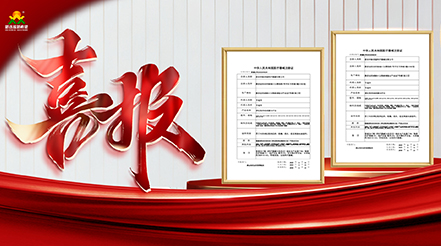 重磅捷報(bào)！雙證落地！新希望醫(yī)療深耕VTE防治，康復(fù)領(lǐng)域再添硬核利器