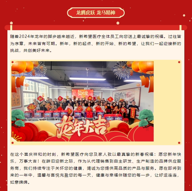 龍嘯新春，共赴新程