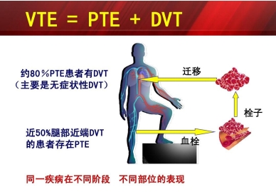 1微信截圖_20240412090457 1微信截圖_20240412090457